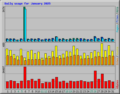 Daily usage for January 2025
