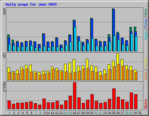 Daily usage for June 2025