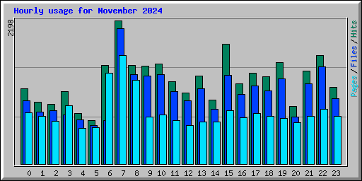 Hourly usage for November 2024