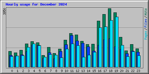 Hourly usage for December 2024