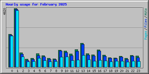 Hourly usage for February 2025