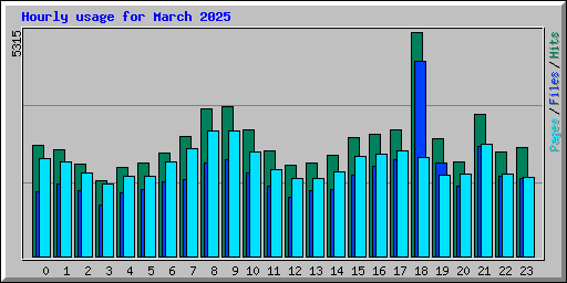 Hourly usage for March 2025