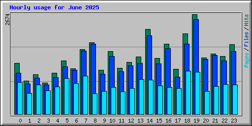 Hourly usage for June 2025