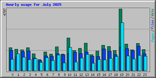 Hourly usage for July 2025