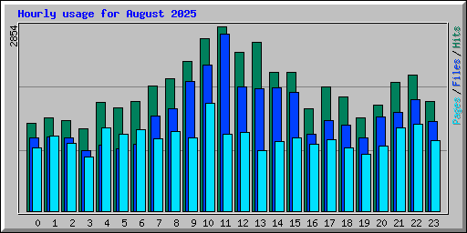 Hourly usage for August 2025