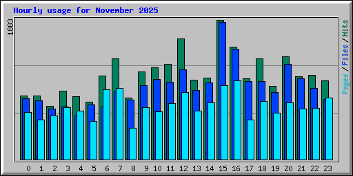 Hourly usage for November 2025