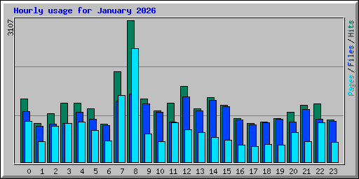 Hourly usage for January 2026