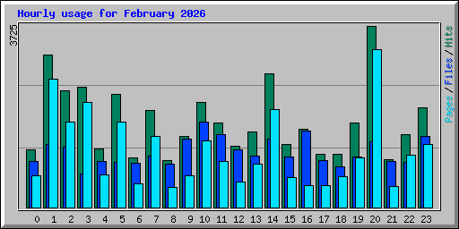 Hourly usage for February 2026