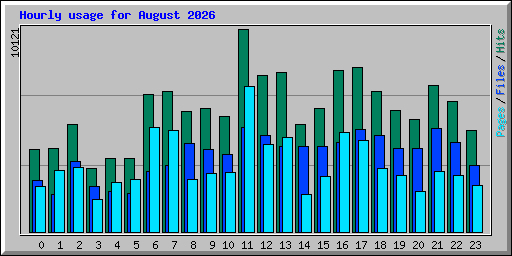 Hourly usage for August 2026