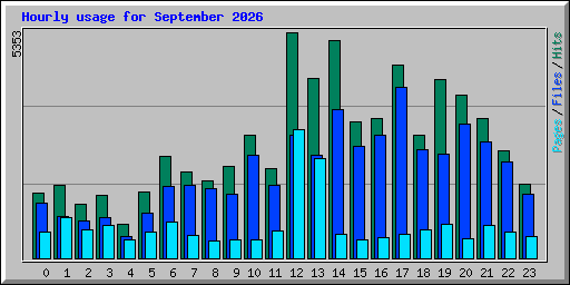 Hourly usage for September 2026
